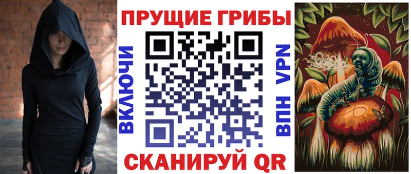 omg сайт  Касли  Галлюциногенные грибы GOLDEN TEACHER 