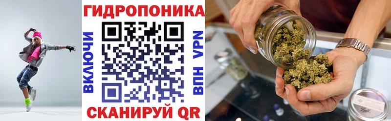 кракен зеркало где можно купить наркотик Касли Шишки марихуана ГИДРОПОН